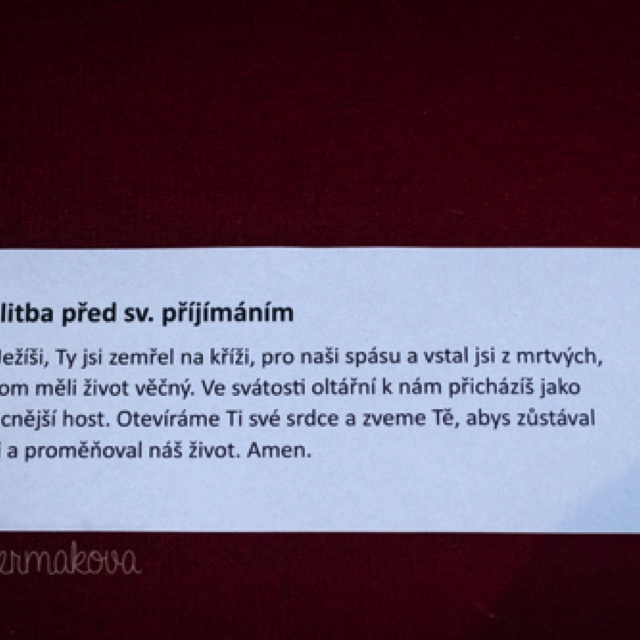 bile pozadi-9923.jpeg bile pozadi-9923.jpeg